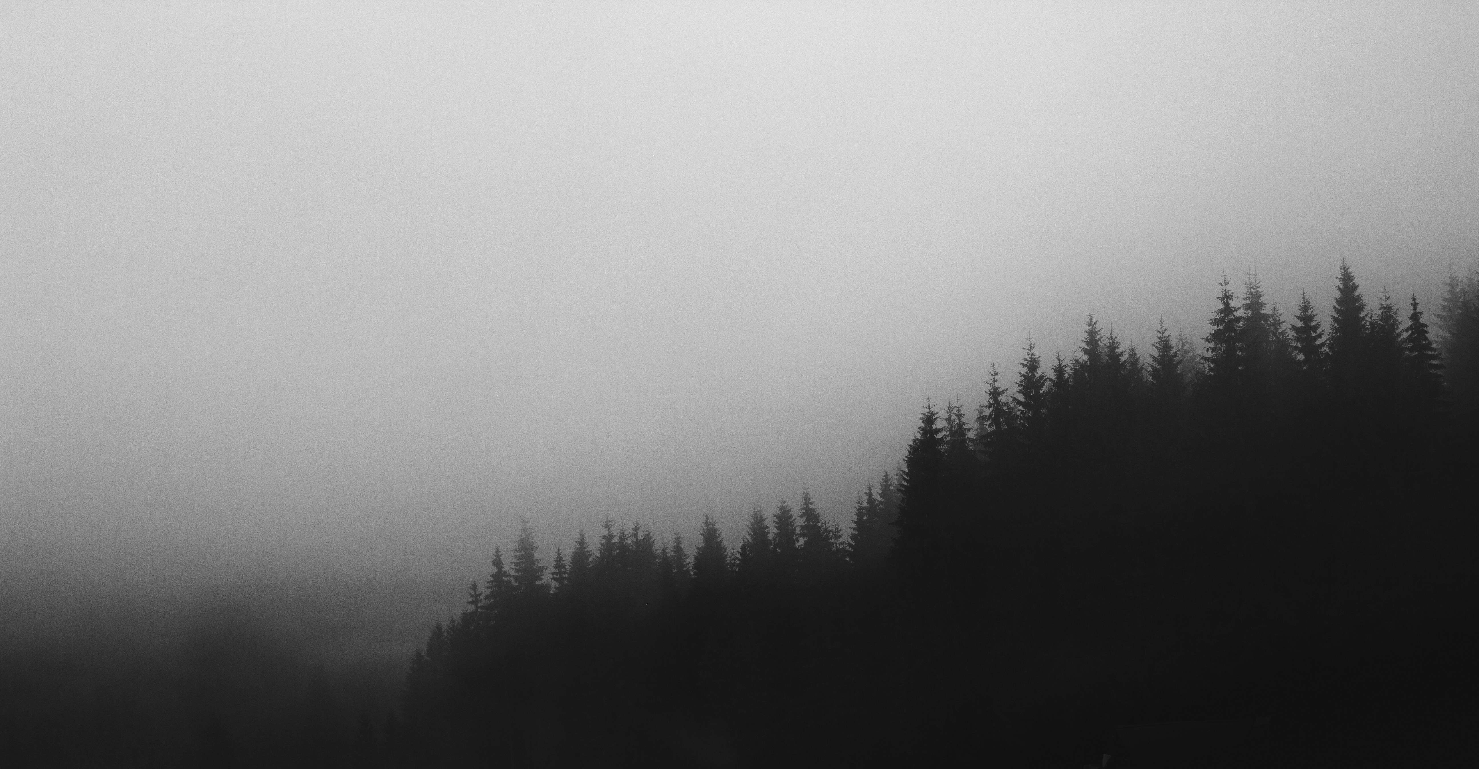 Photo by lucky_13_photos