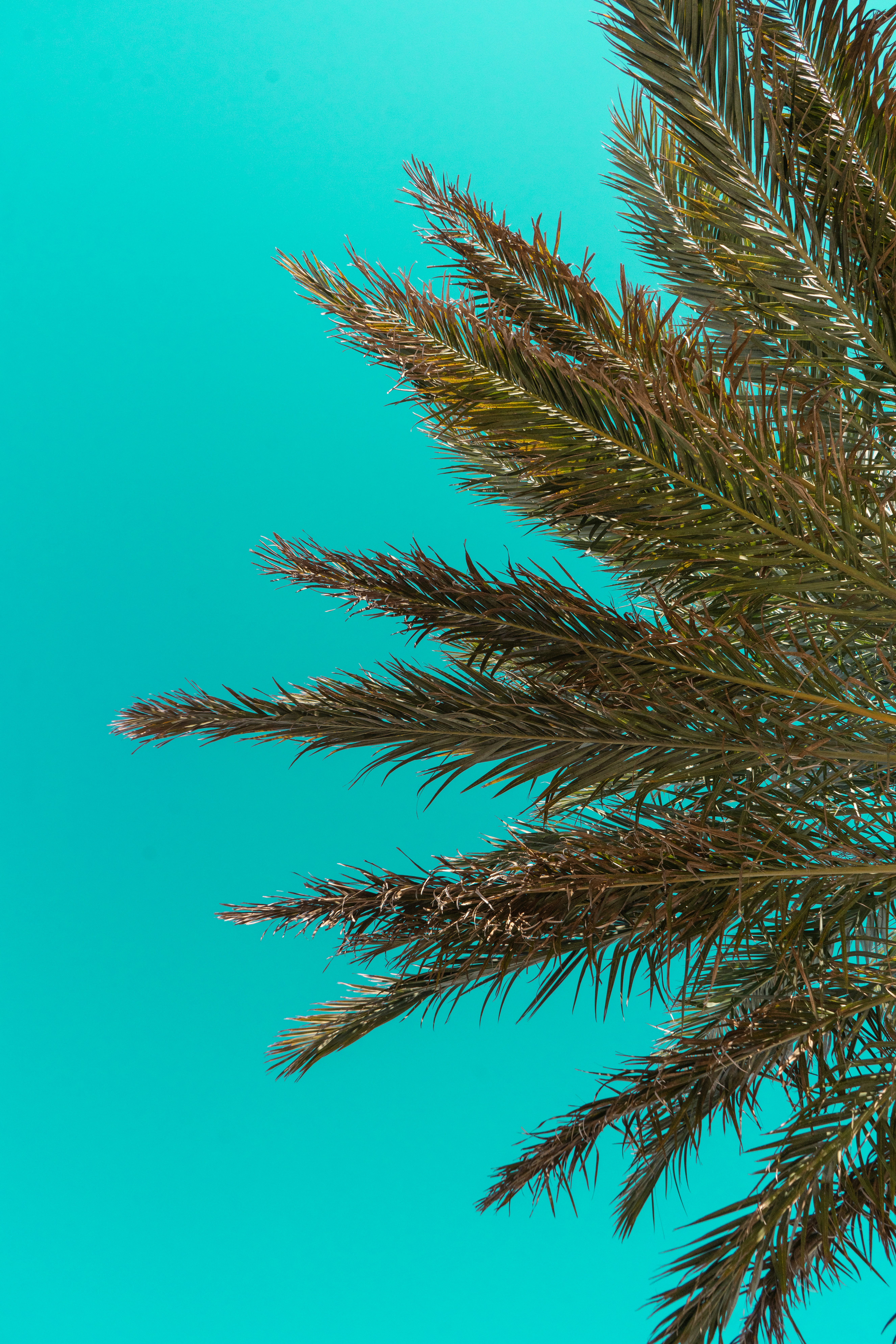 Photo by albionproductions