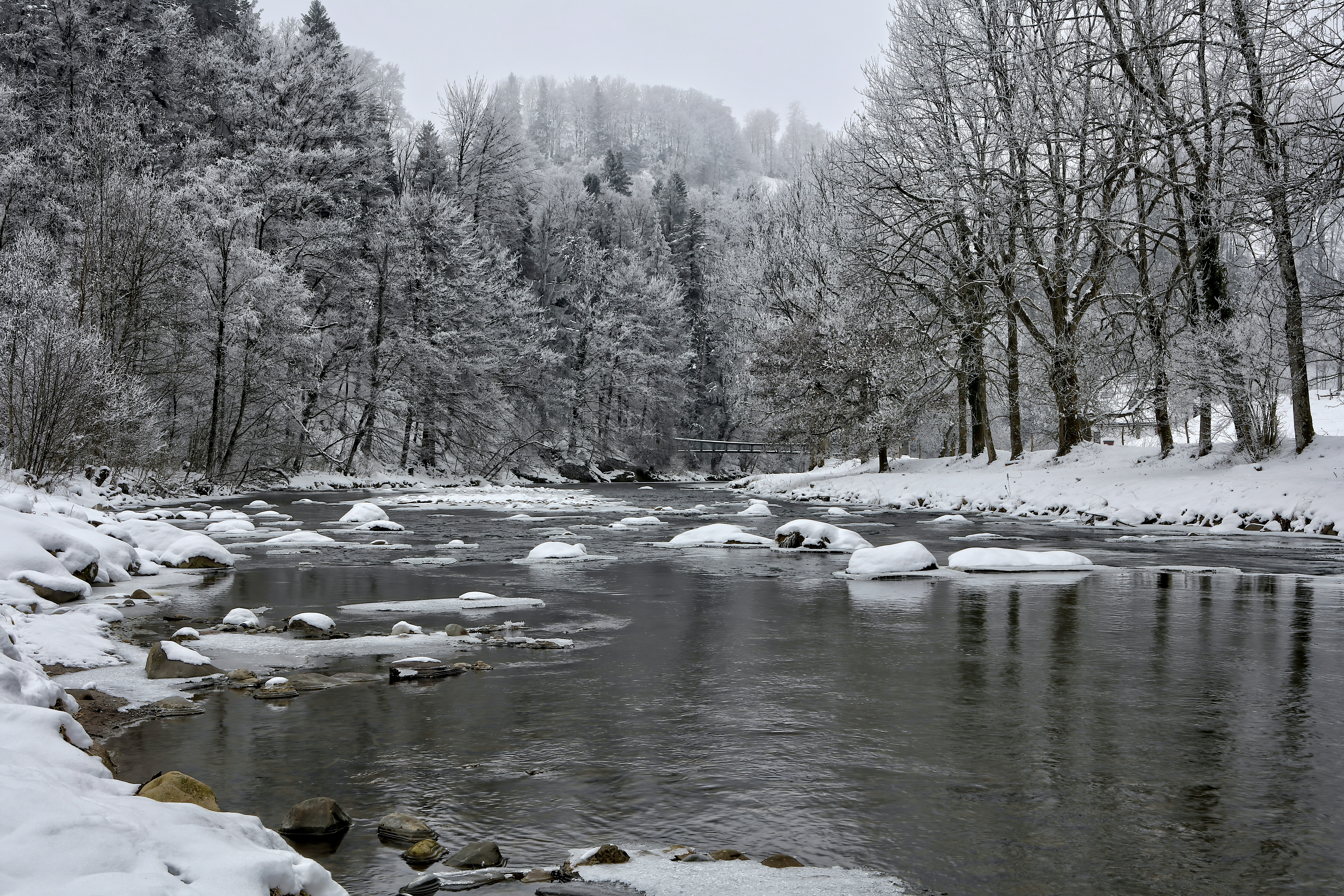 snow covered river and trees during daytime