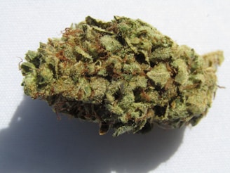 A close-up view of a cannabis bud, showcasing its dense and textured surface. The bud is covered in crystalline trichomes, which give it a frosty appearance. It is a mix of green hues with some orange-brown pistils scattered throughout.