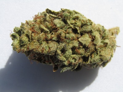 A close-up view of a cannabis bud, showcasing its dense and textured surface. The bud is covered in crystalline trichomes, which give it a frosty appearance. It is a mix of green hues with some orange-brown pistils scattered throughout.