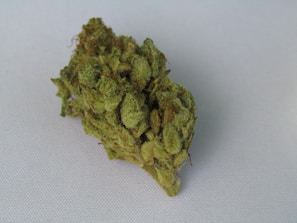 A detailed close-up of a dried cannabis bud, showcasing its textured surface and green coloration with hints of orange pistils.