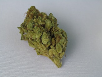 A detailed close-up of a dried cannabis bud, showcasing its textured surface and green coloration with hints of orange pistils.