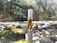A vape pen cartridge is pictured with a natural background of a flowing river surrounded by green foliage and rocks. The image is focused on the cartridge, showcasing its metallic and transparent structure containing a golden liquid.