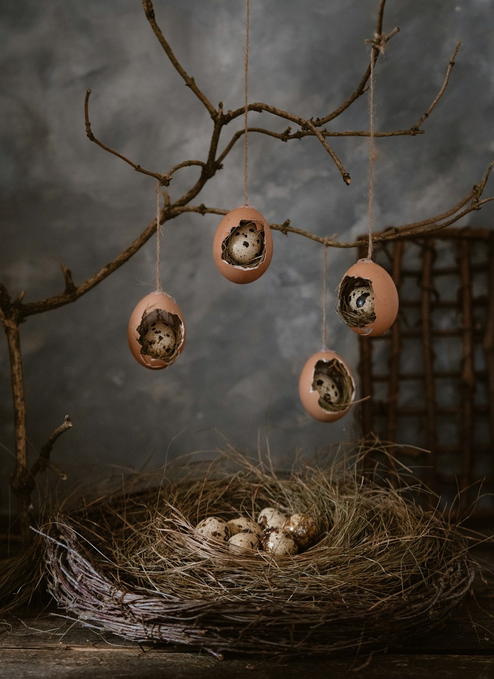 brown and white round wall decors