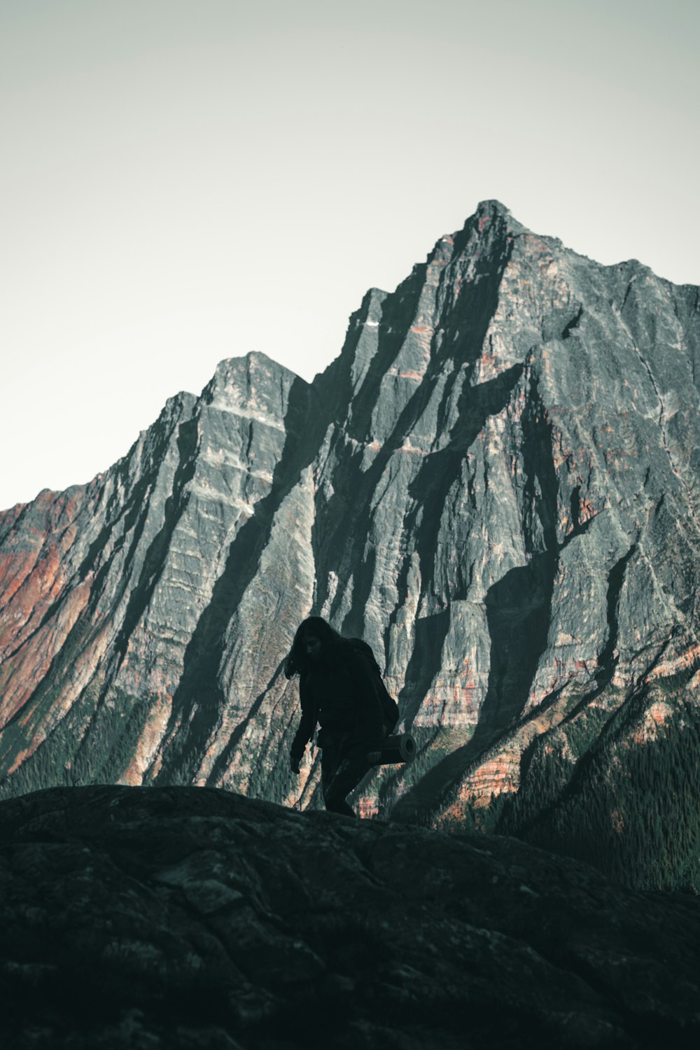 black labrador retriever on brown rock mountain during daytime