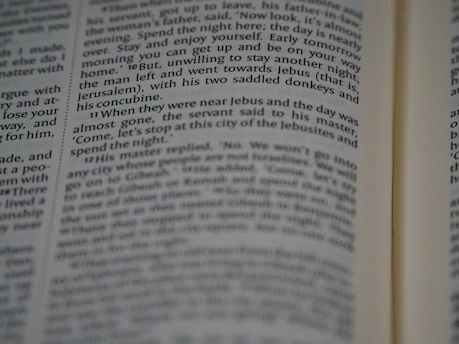 Close-up of a webpage with highlighted text linking to a client’s website.