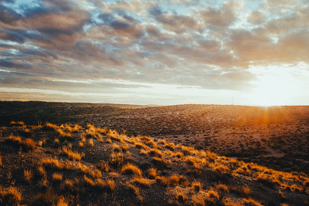 brown field under cloudy sky during daytime