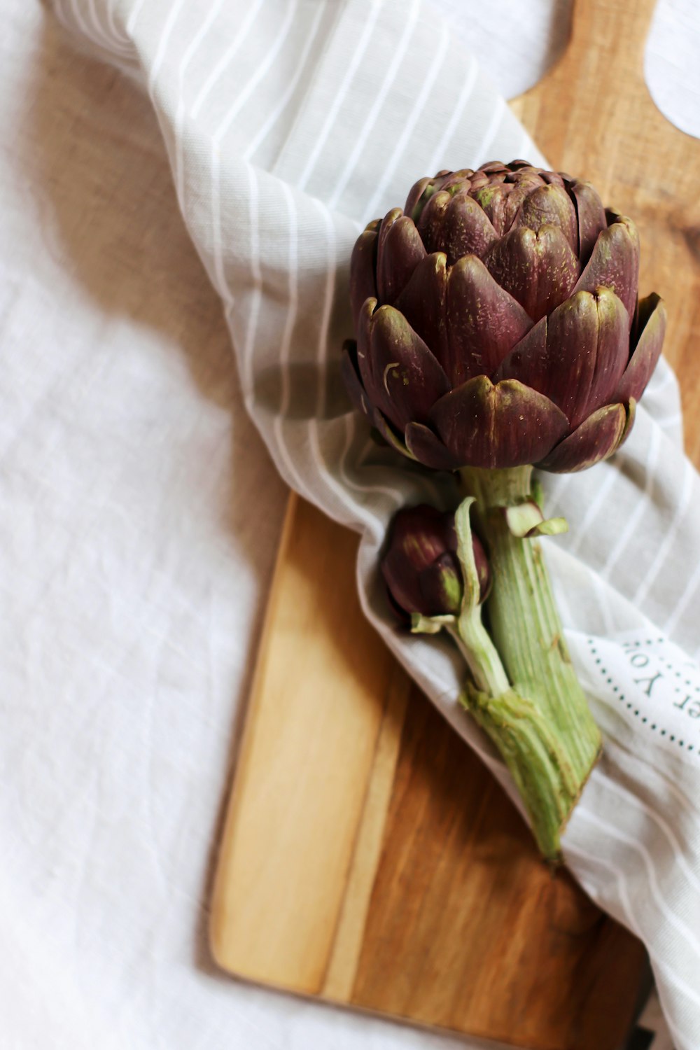 green and purple flower bud