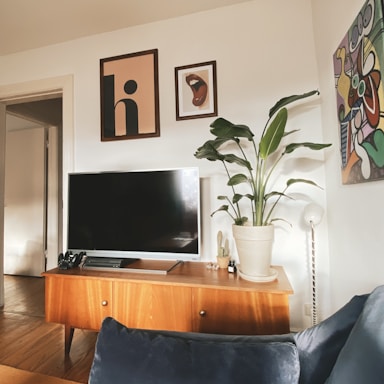 A cozy corner featuring a mid-century teak sideboard with ceramic planters and a jute rug.