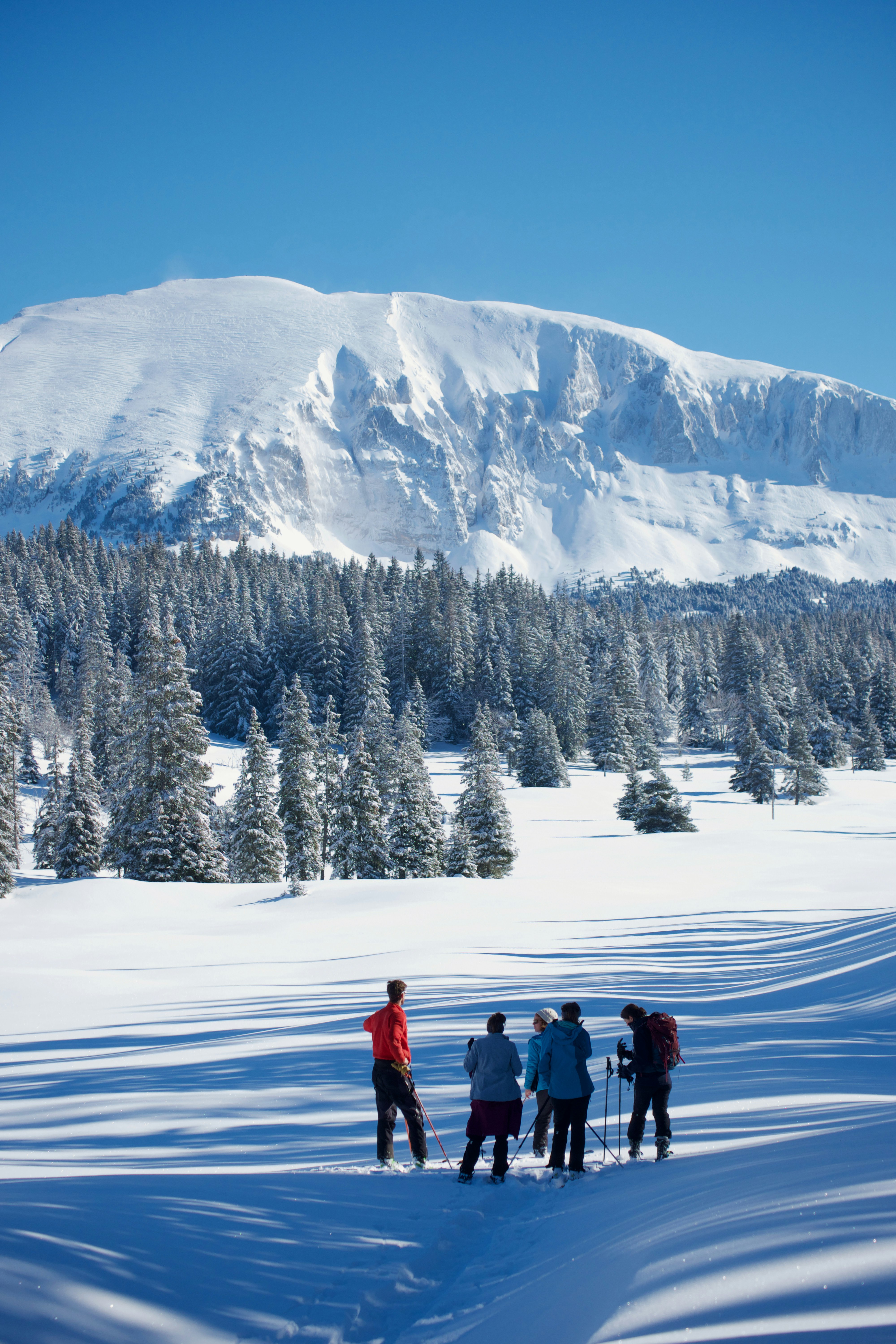 Group of hikers facing a snowy mountain.