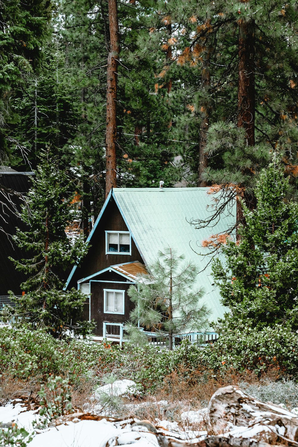 white and brown wooden house surrounded by green trees during daytime