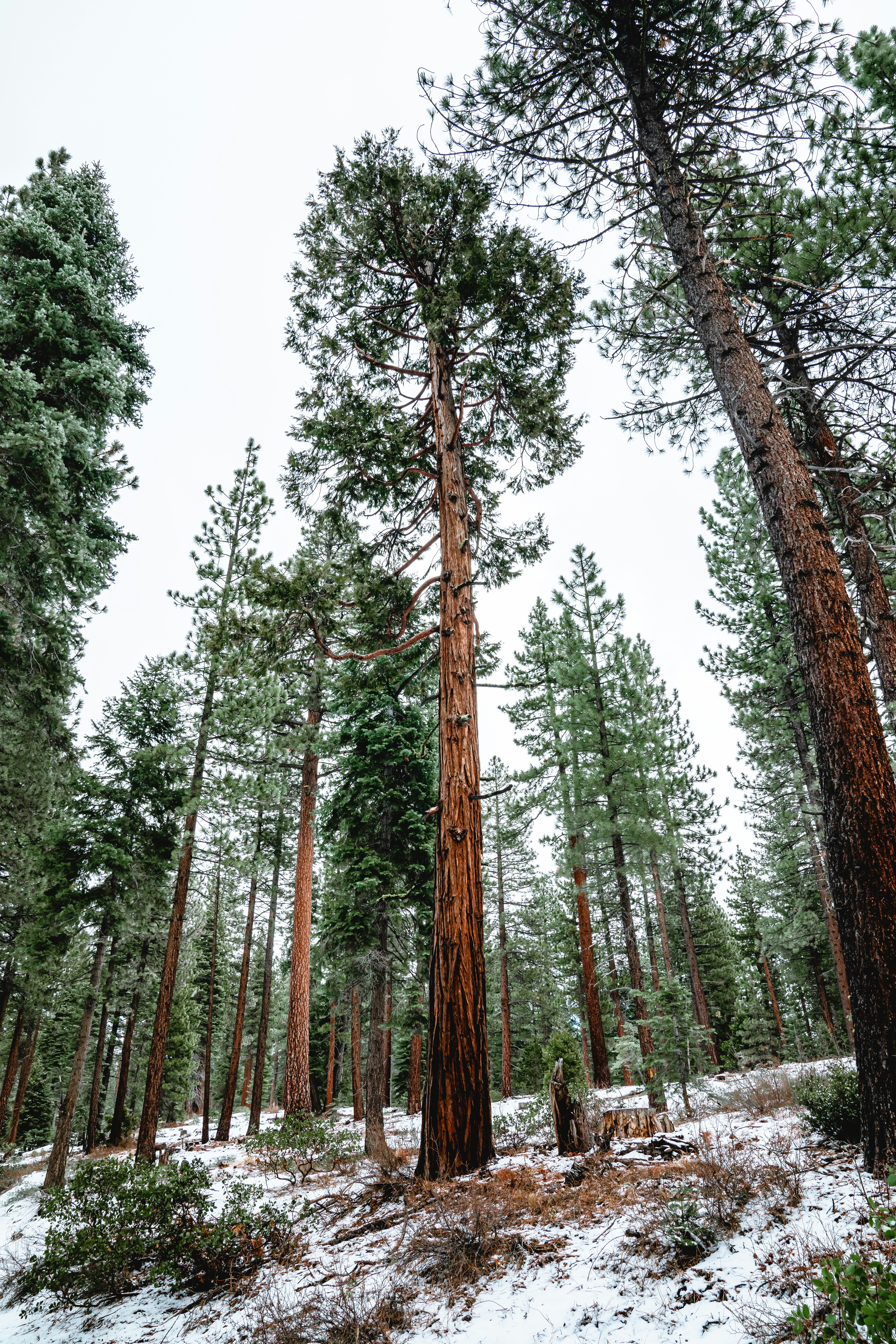 Photo by merittthomas