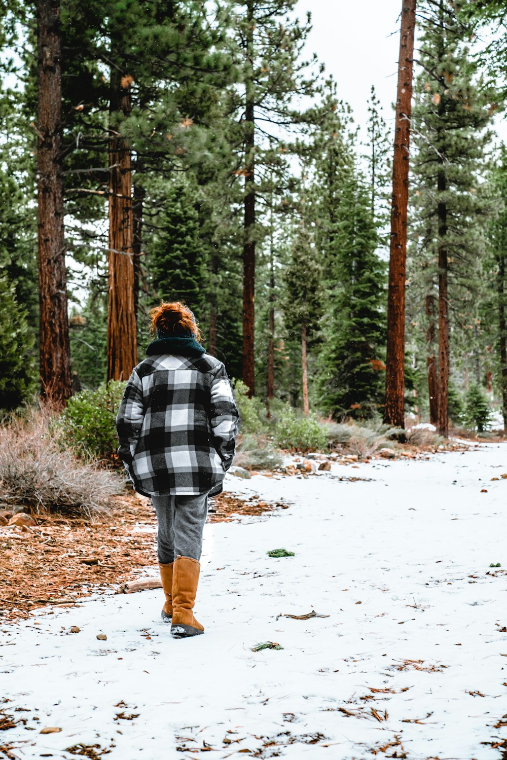 man in black and white plaid jacket walking on snow covered ground surrounded by trees during