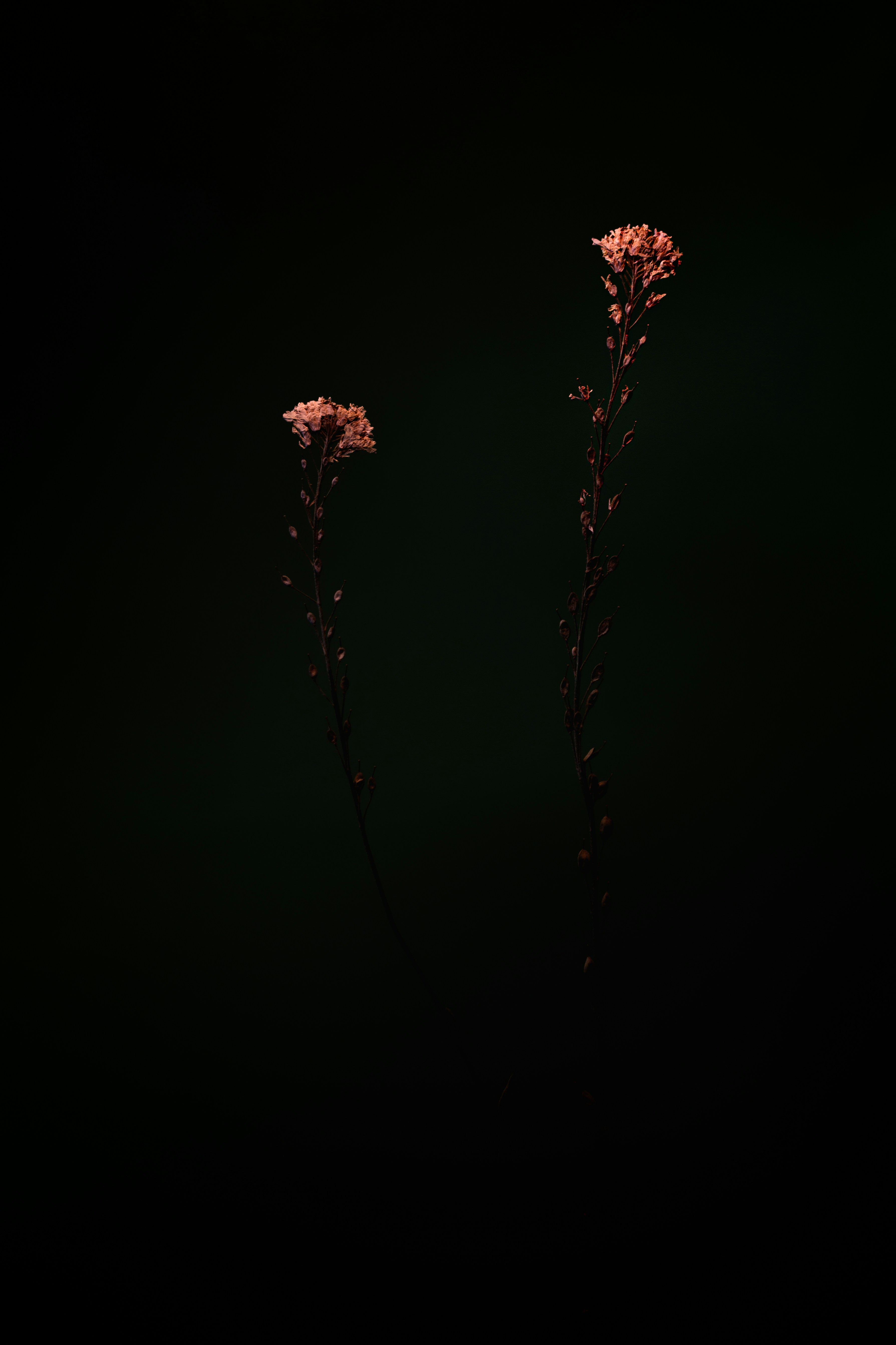 Photo by marekpiwnicki