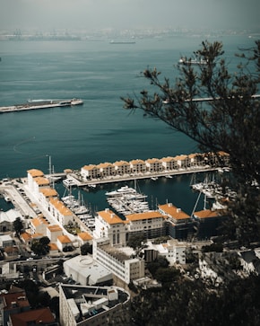 aerial view of city buildings near body of water during daytime