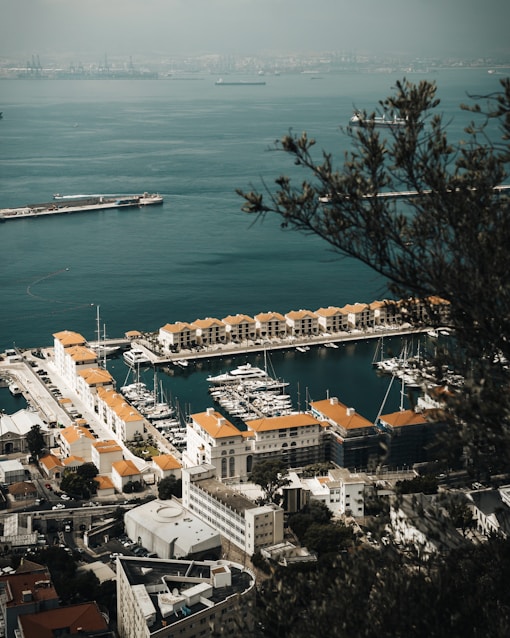 aerial view of city buildings near body of water during daytime