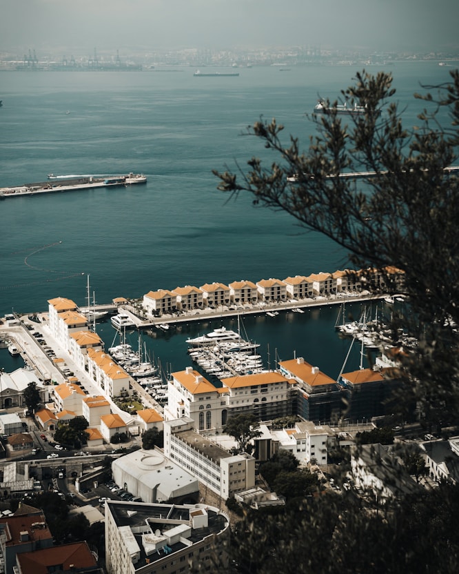 aerial view of city buildings near body of water during daytime