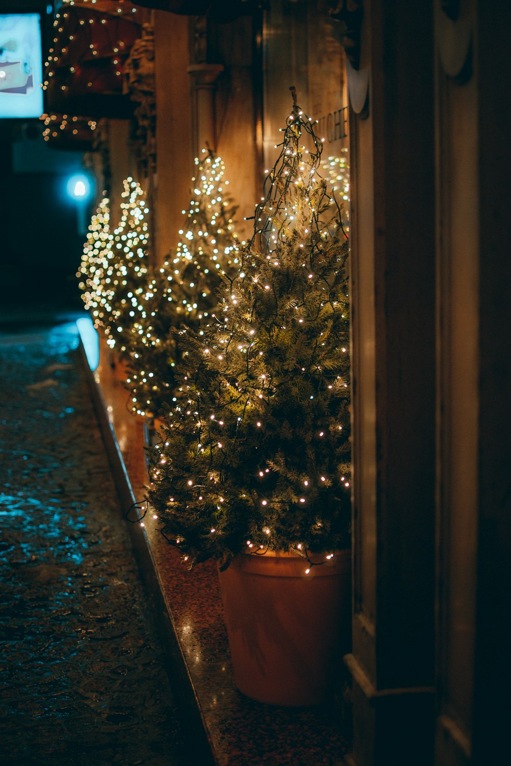 green christmas tree with string lights