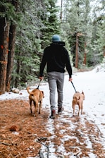 man in black jacket and gray pants walking with brown short coated dog on snow covered