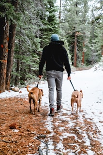 man in black jacket and gray pants walking with brown short coated dog on snow covered