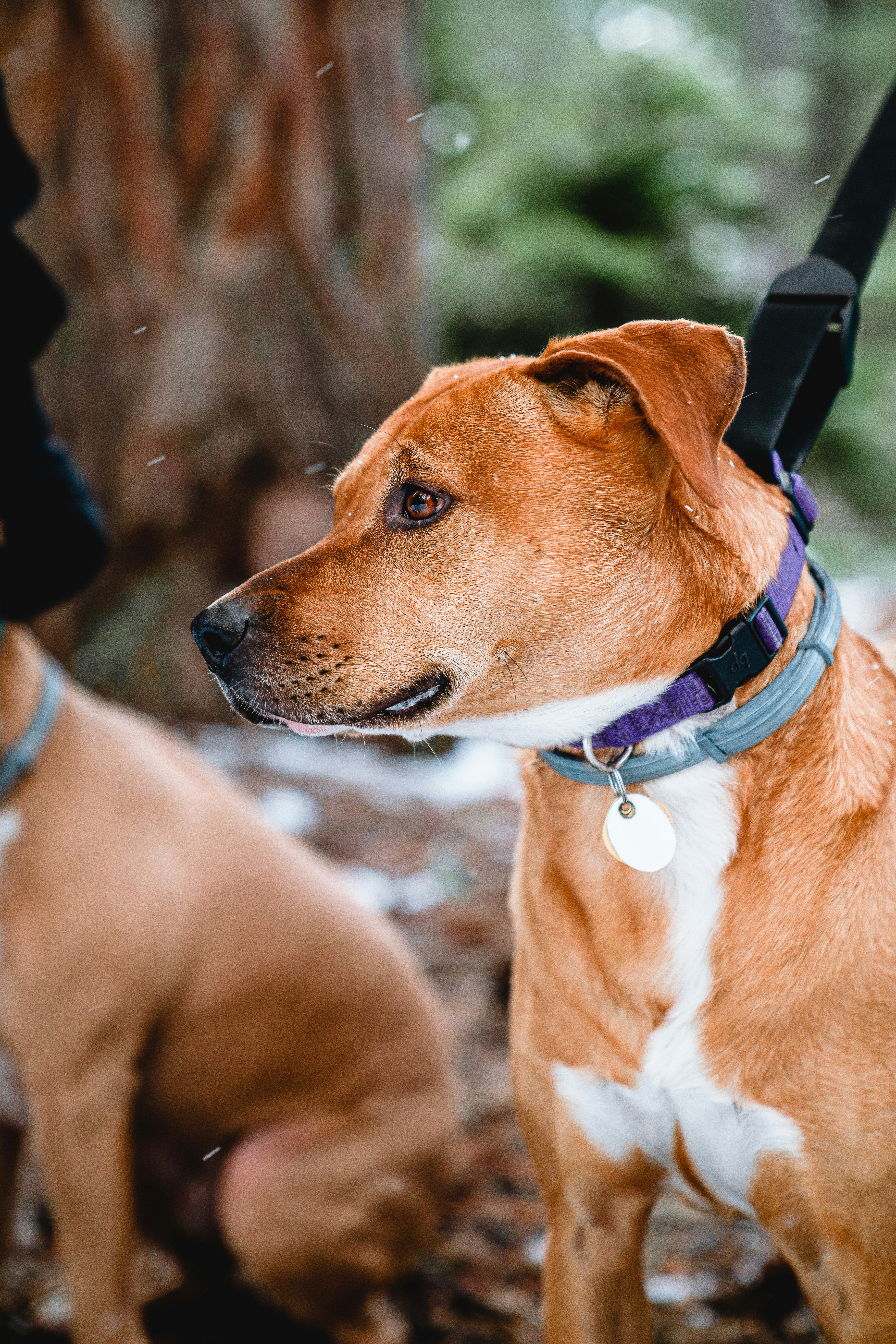 Photo by merittthomas