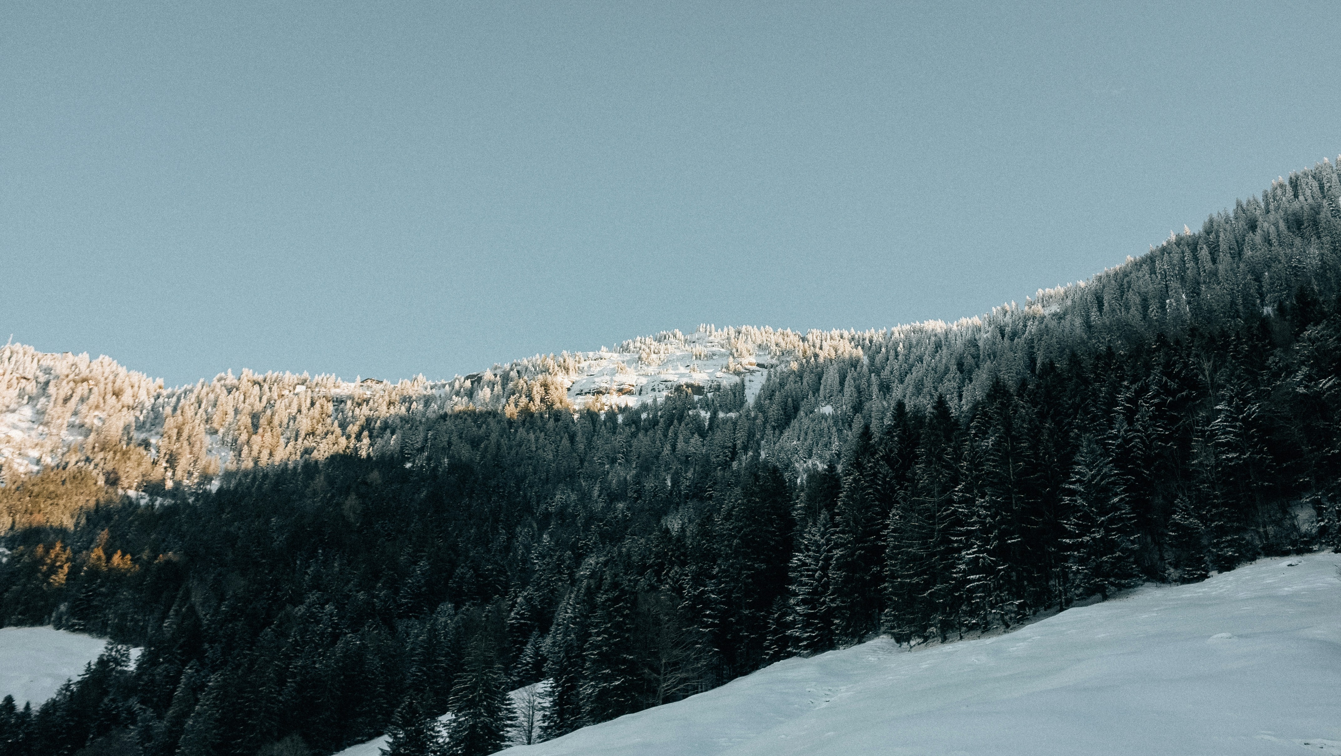 Photo by corina_rainer_