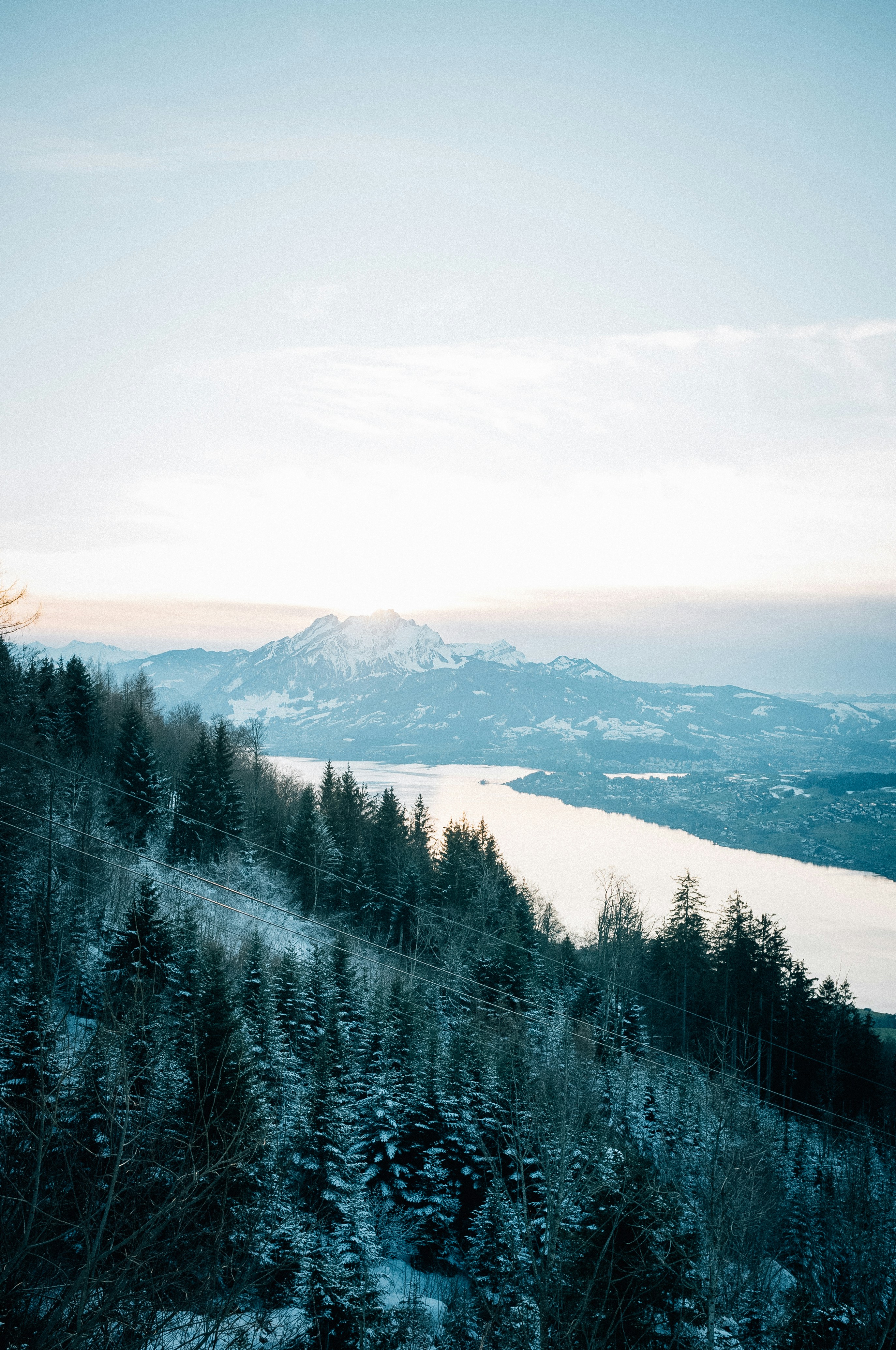 Photo by corina_rainer_