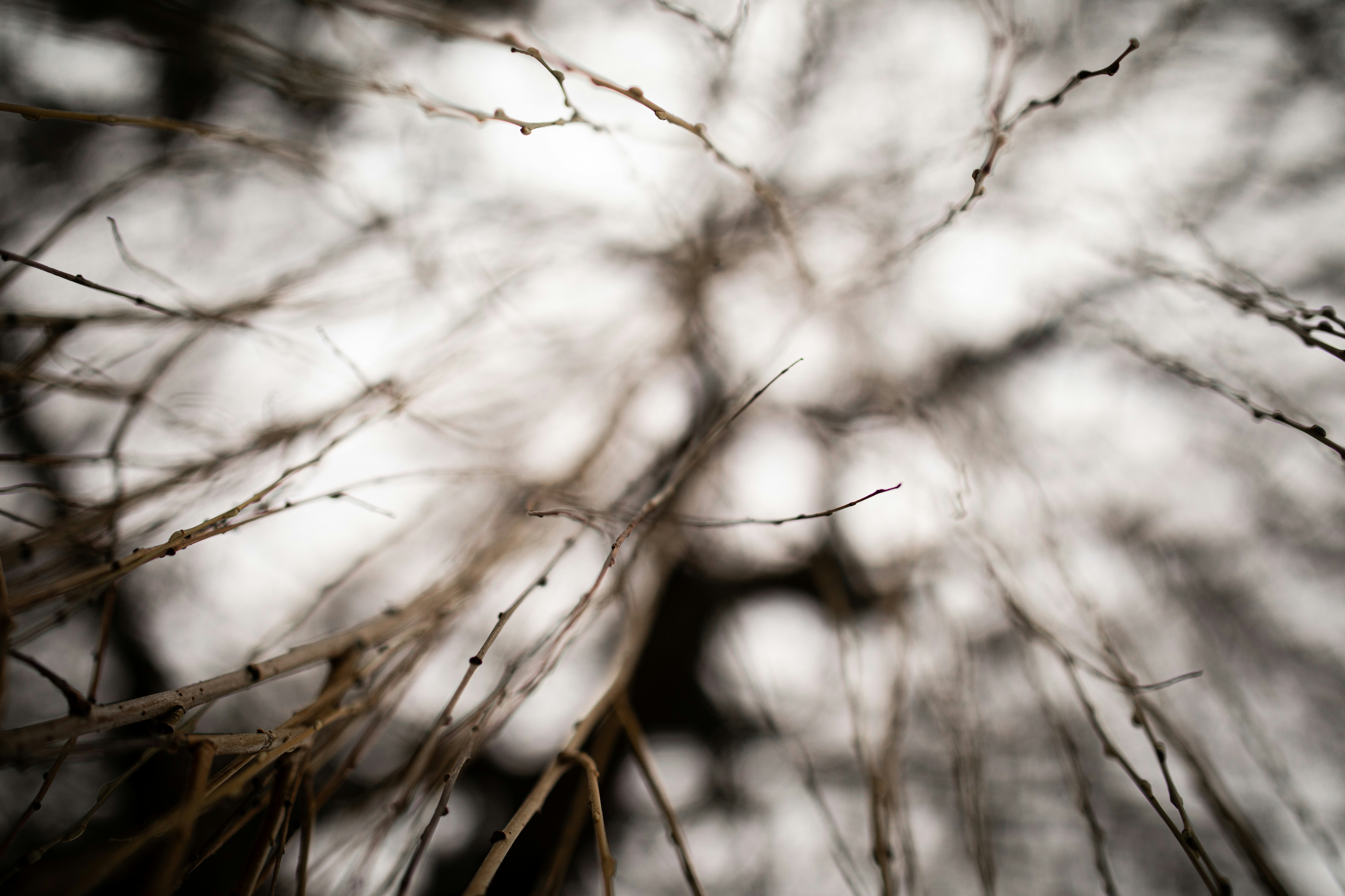 Photo by kajareichardtphotos