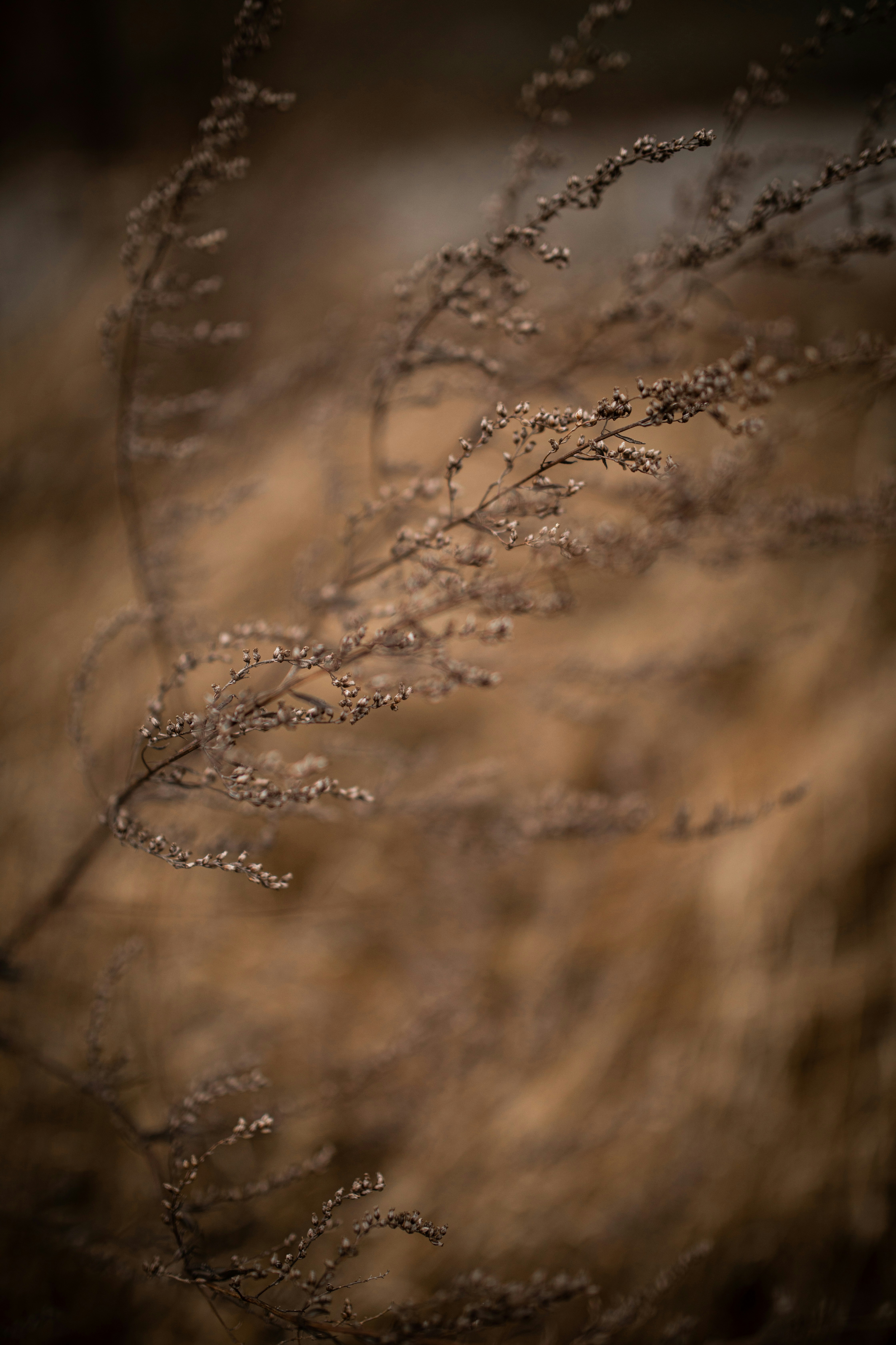 Photo by kajareichardtphotos