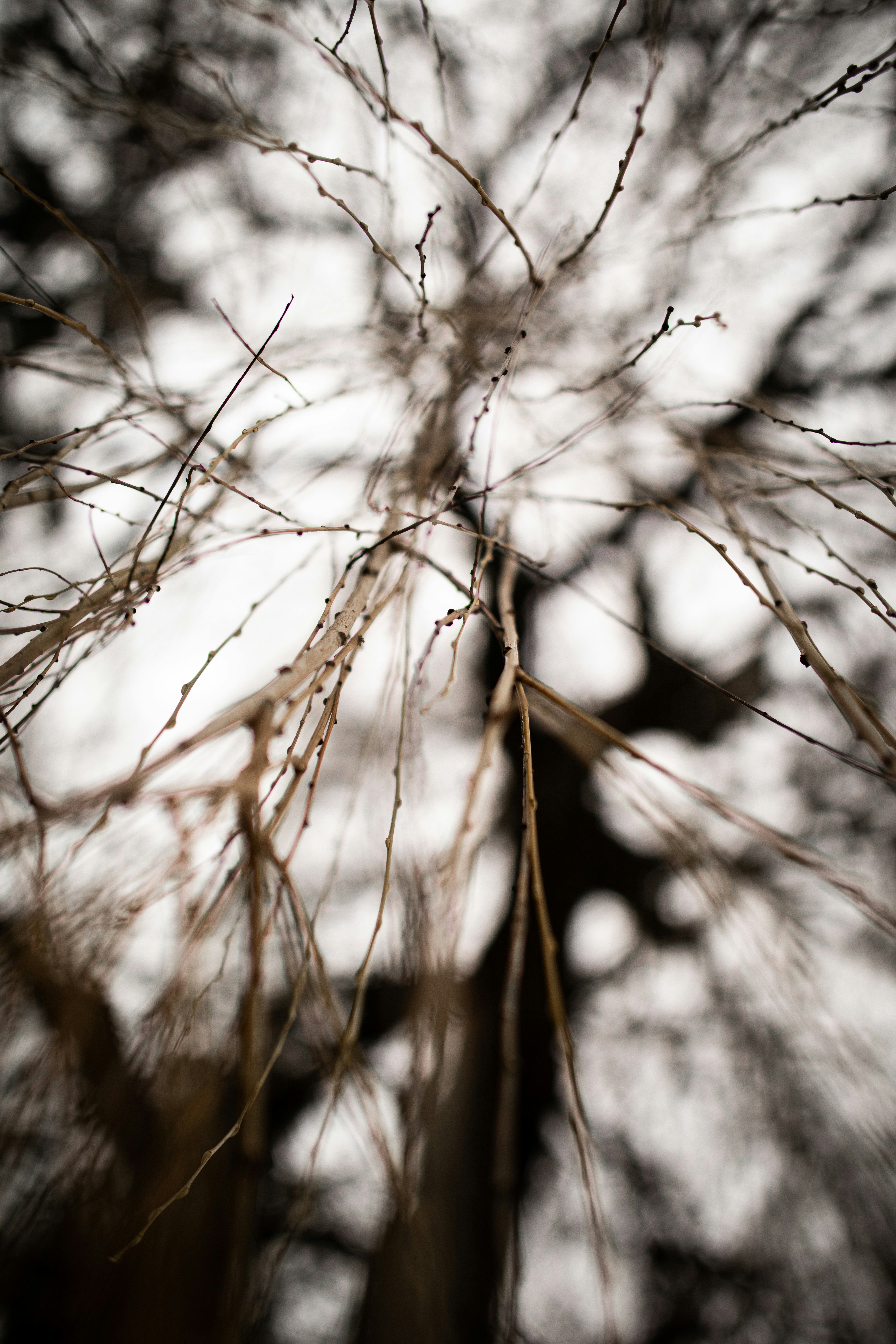 Photo by kajareichardtphotos