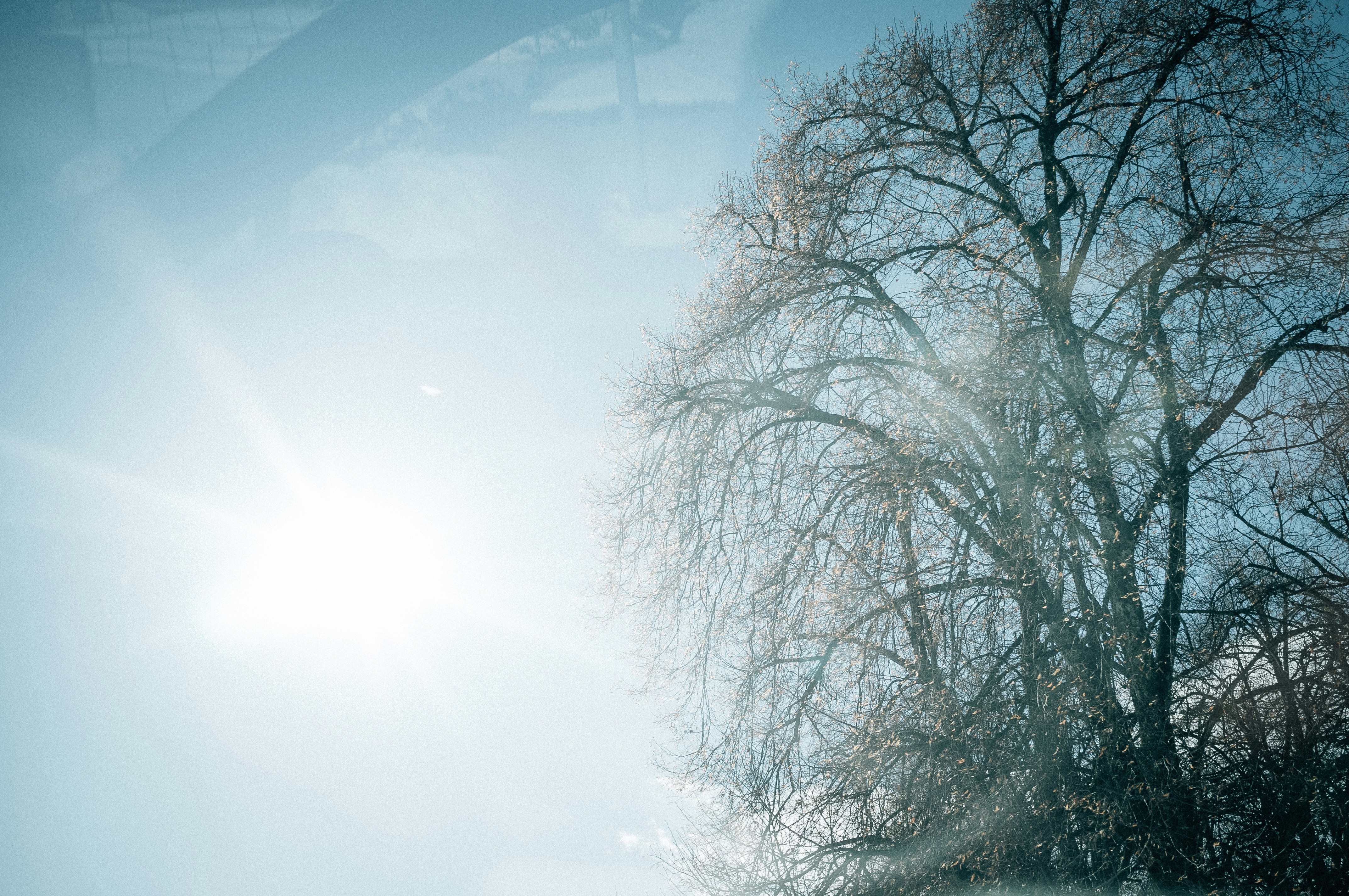 Photo by corina_rainer_