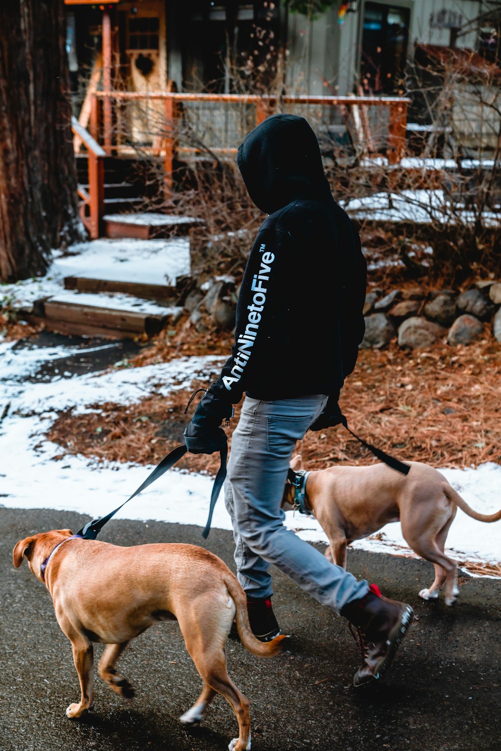 man in black jacket and brown pants walking with brown short coated dog on snow covered