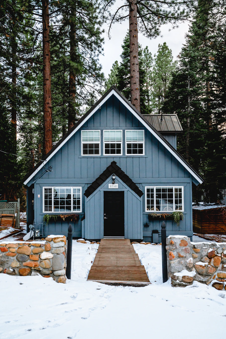 A blue cottage in snow among tall pines
