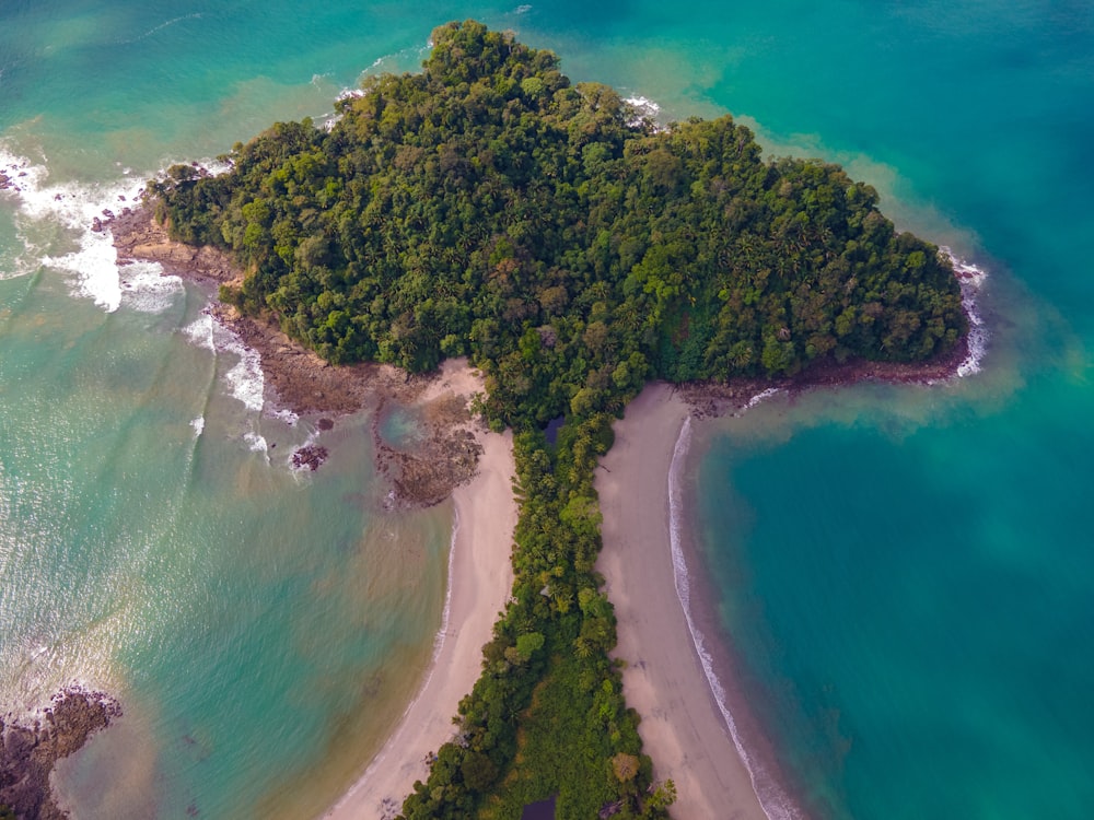 Veduta aerea di alberi verdi vicino allo specchio d'acqua durante il giorno