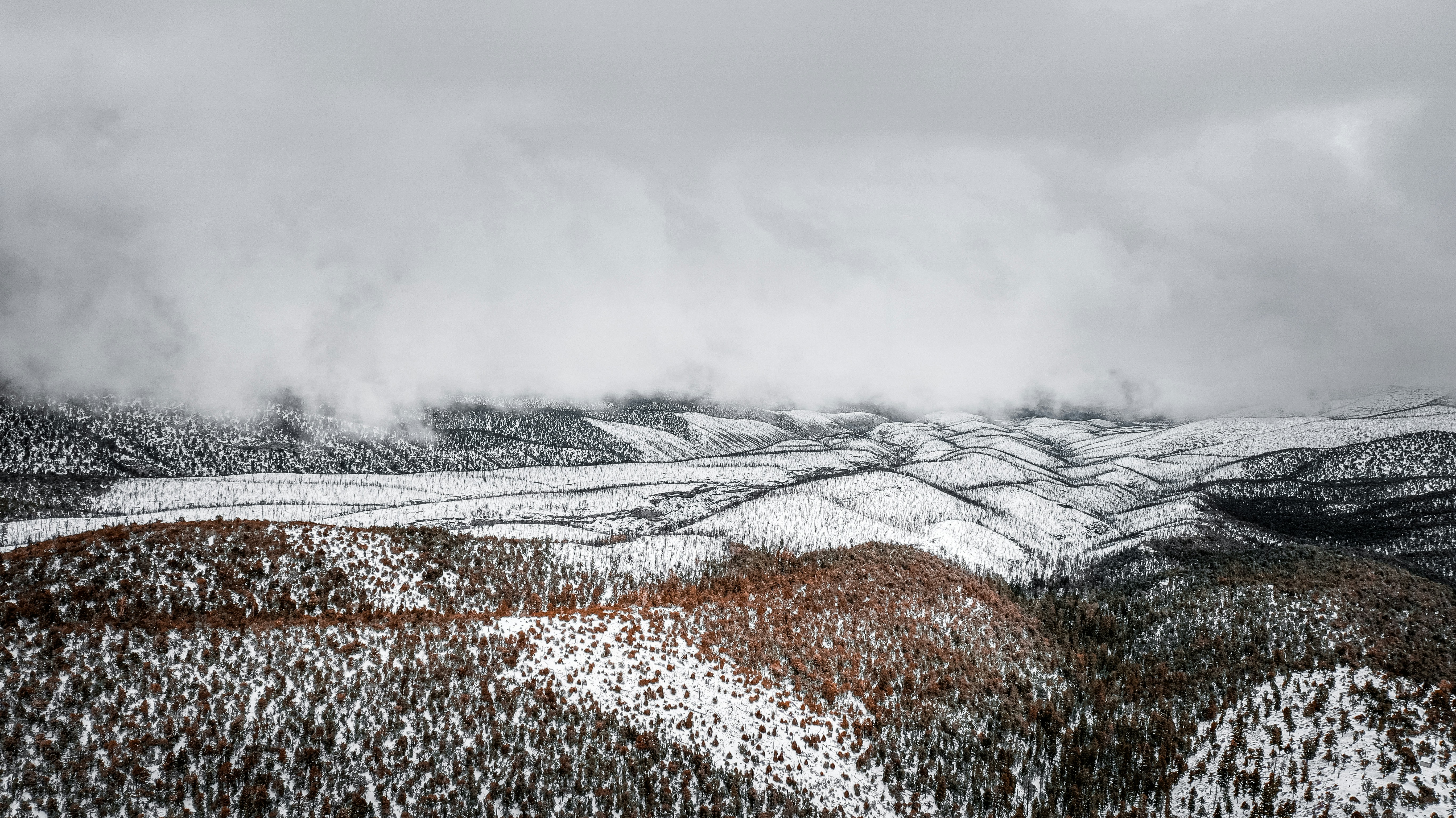 Photo by mikeperezmedia