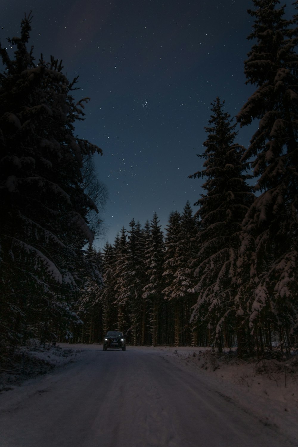 black car on road between trees during night time