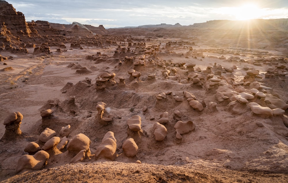 ovelhas marrons e brancas na areia marrom durante o dia