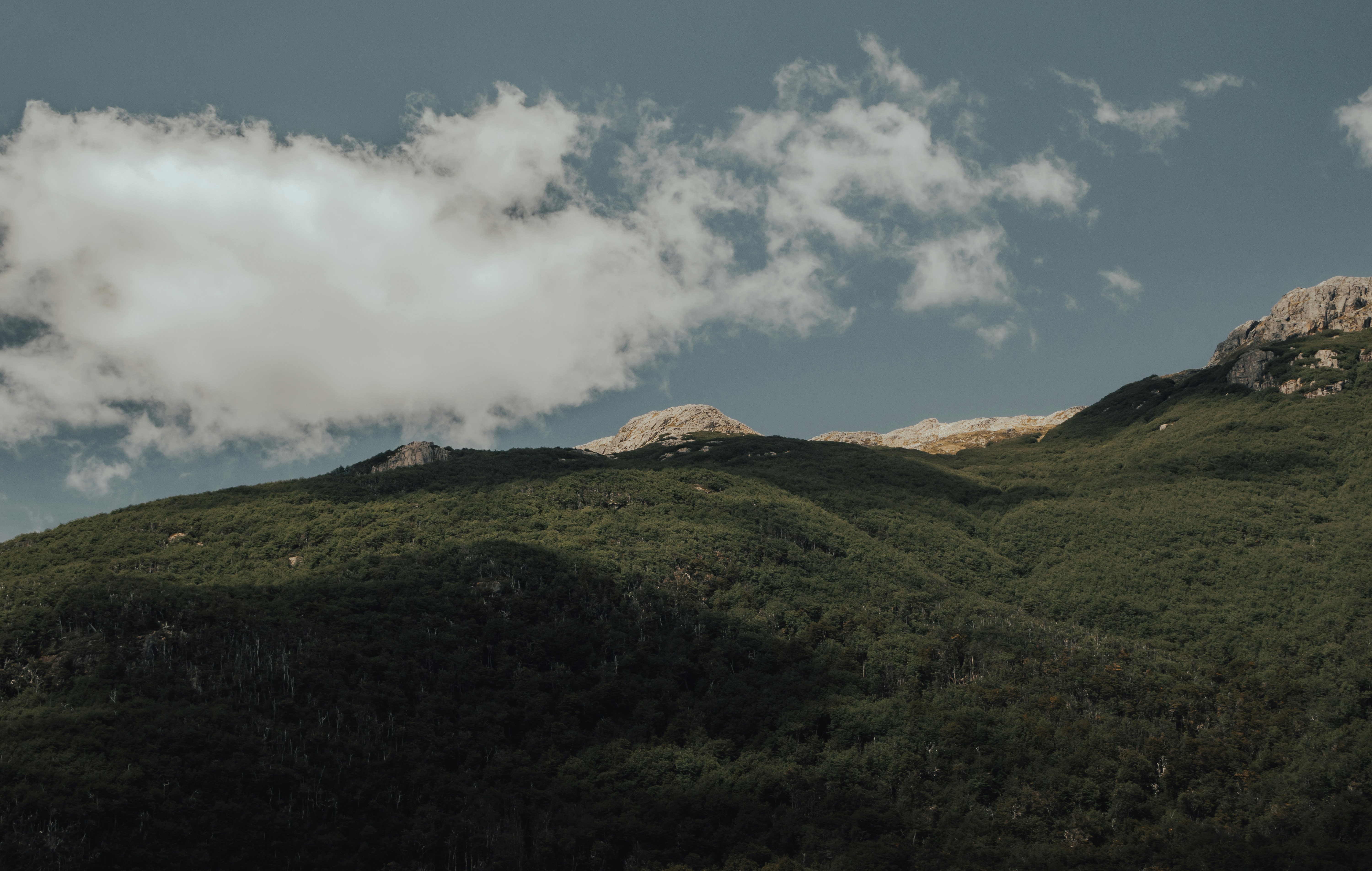 Photo by gasparzaldo