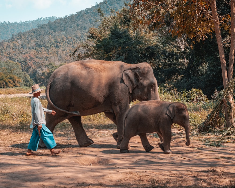 Femme en chemise blanche et pantalon bleu debout à côté de l’éléphant brun pendant la journée