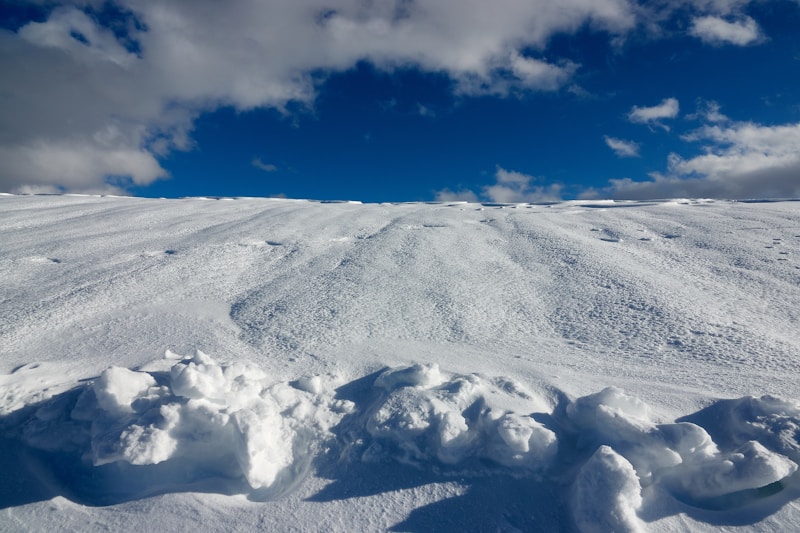 Vordere Hirschlitten