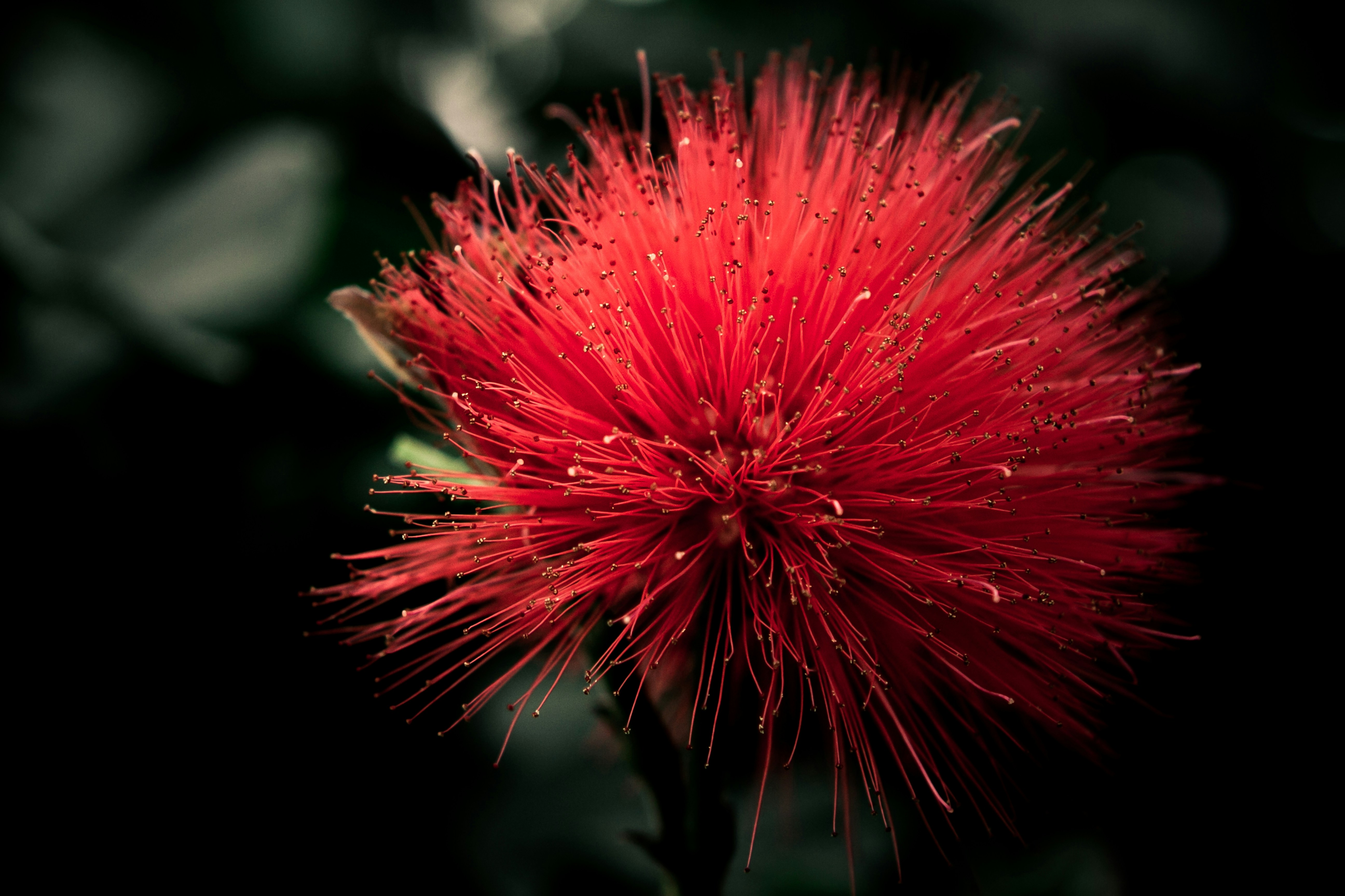 Photo by joetography