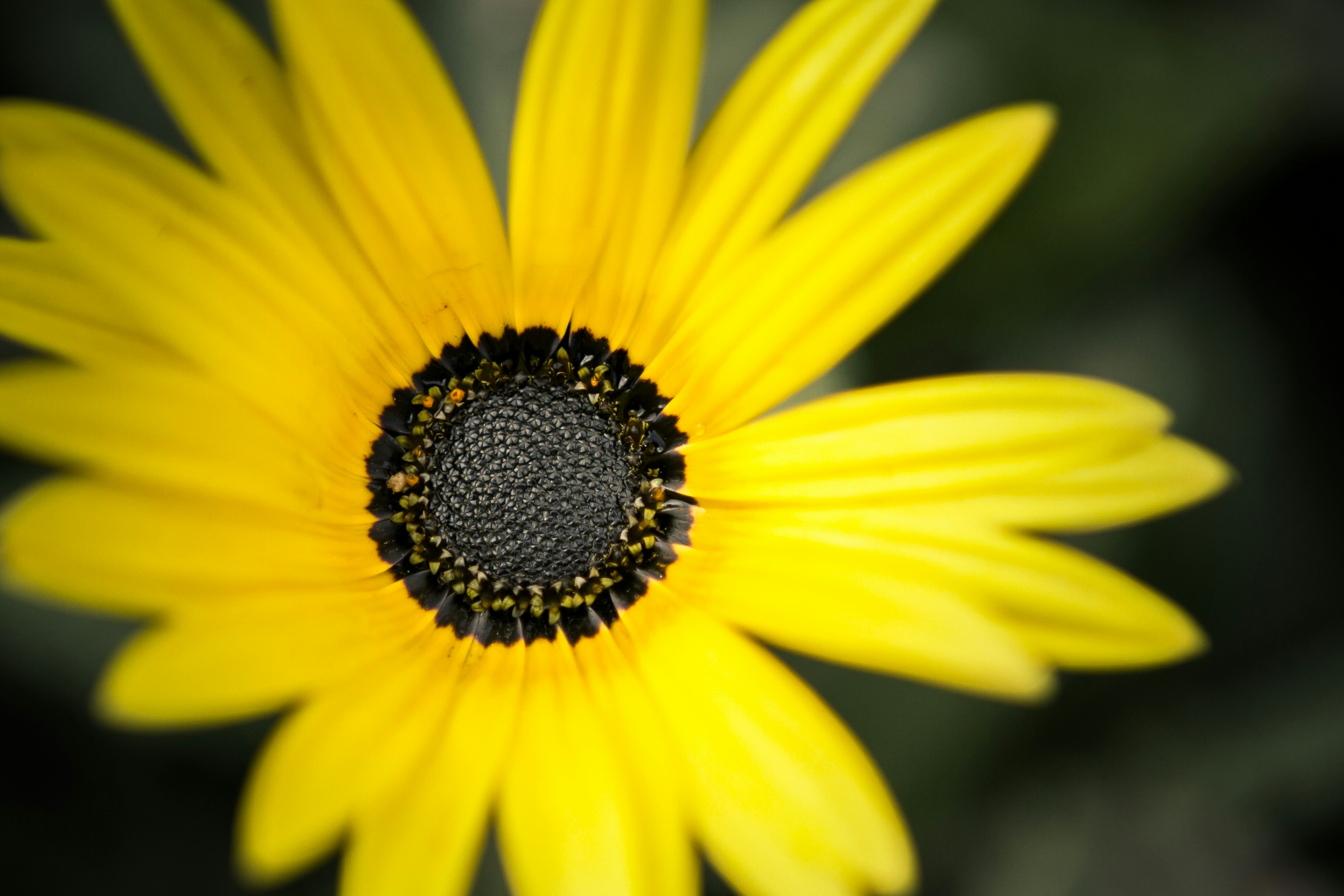 Photo by joetography