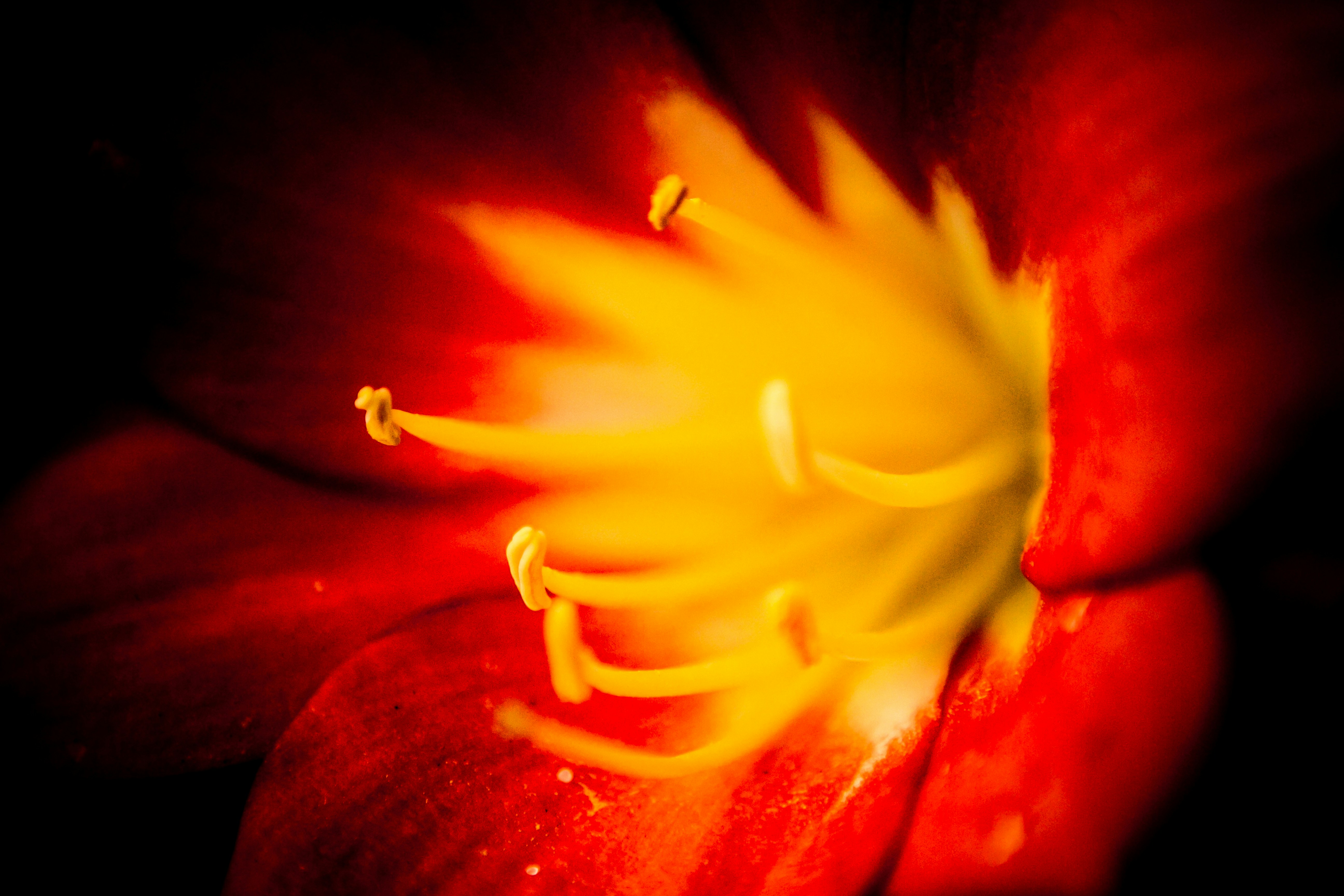 Photo by joetography