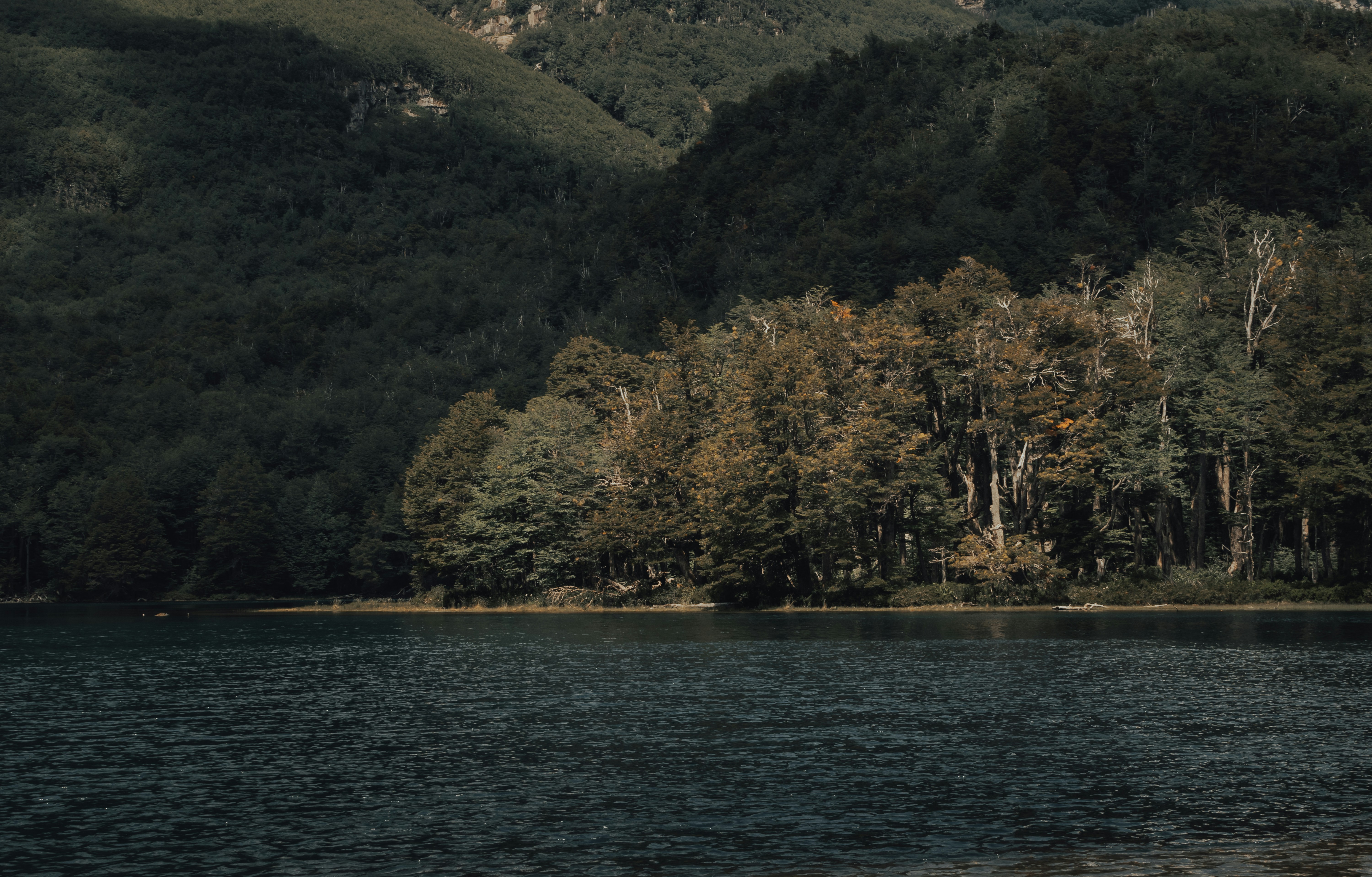 Photo by gasparzaldo