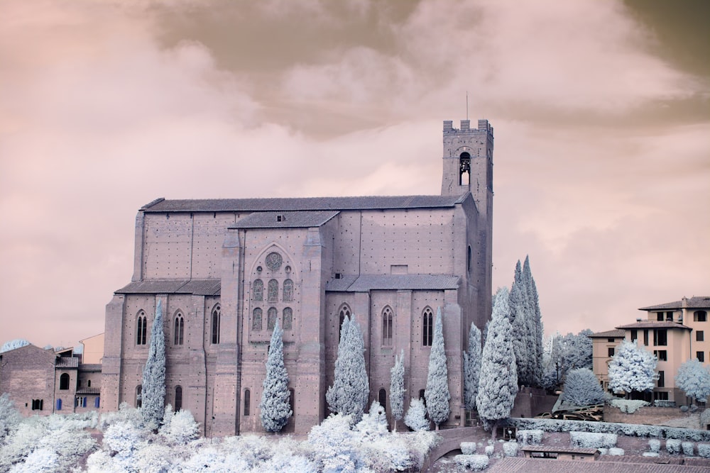 brown concrete building with snow covered trees during daytime