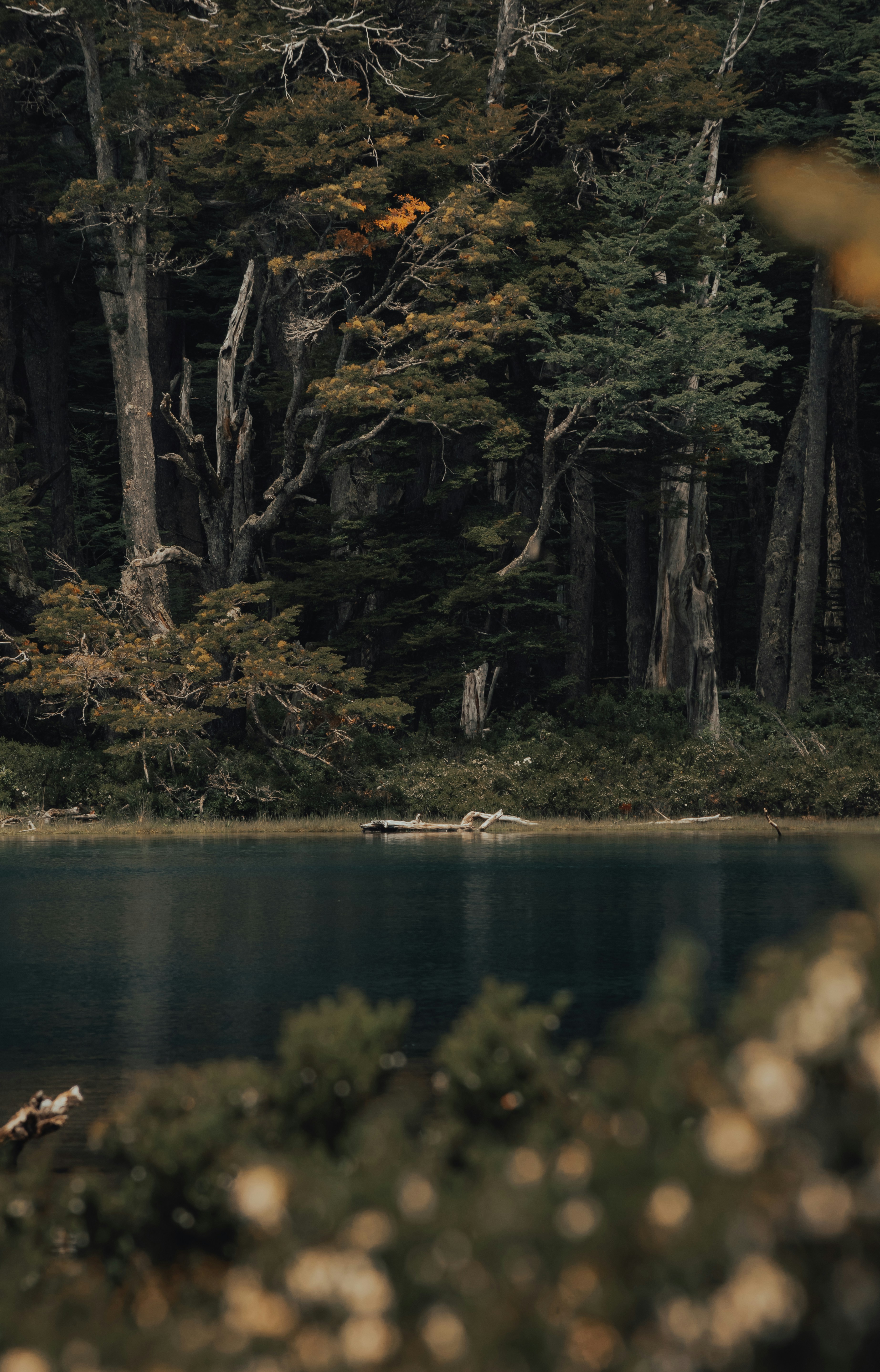 Photo by gasparzaldo