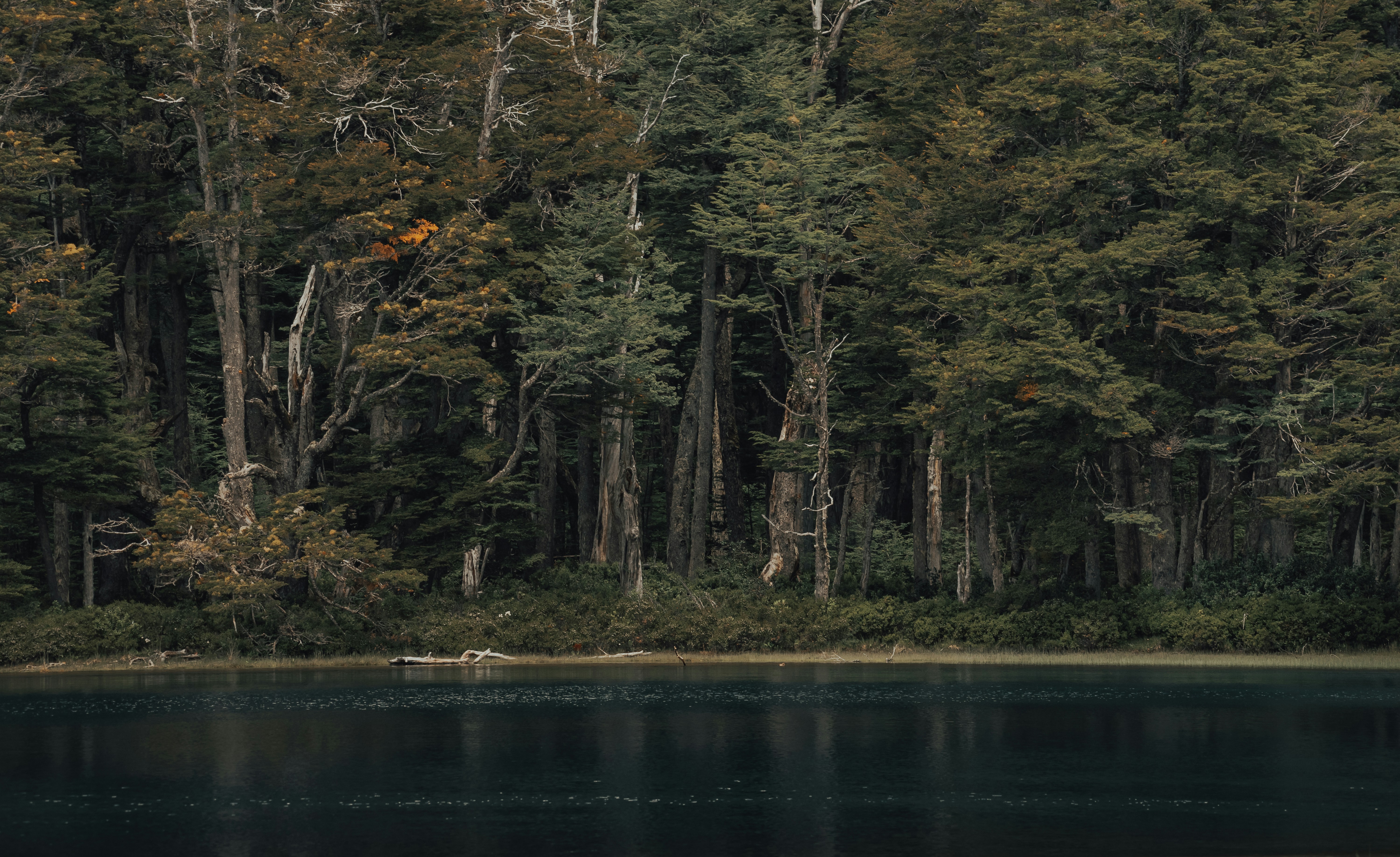 Photo by gasparzaldo