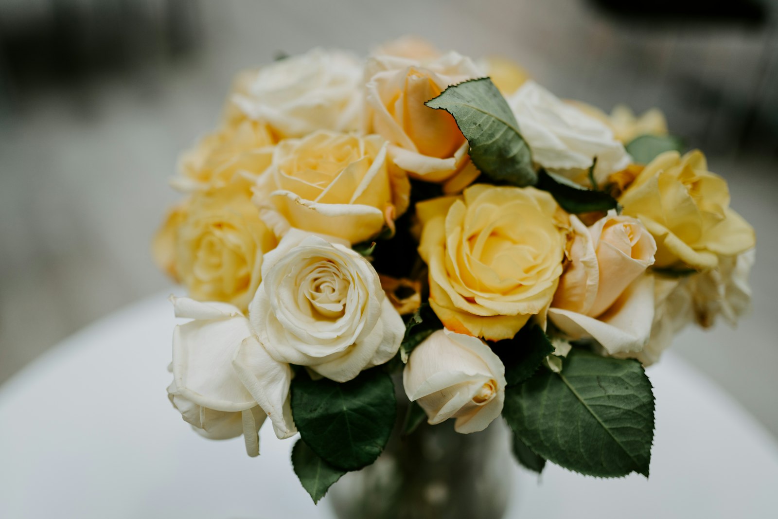 Roses jaune et blanche entrelacées, code occidental des excuses sincères