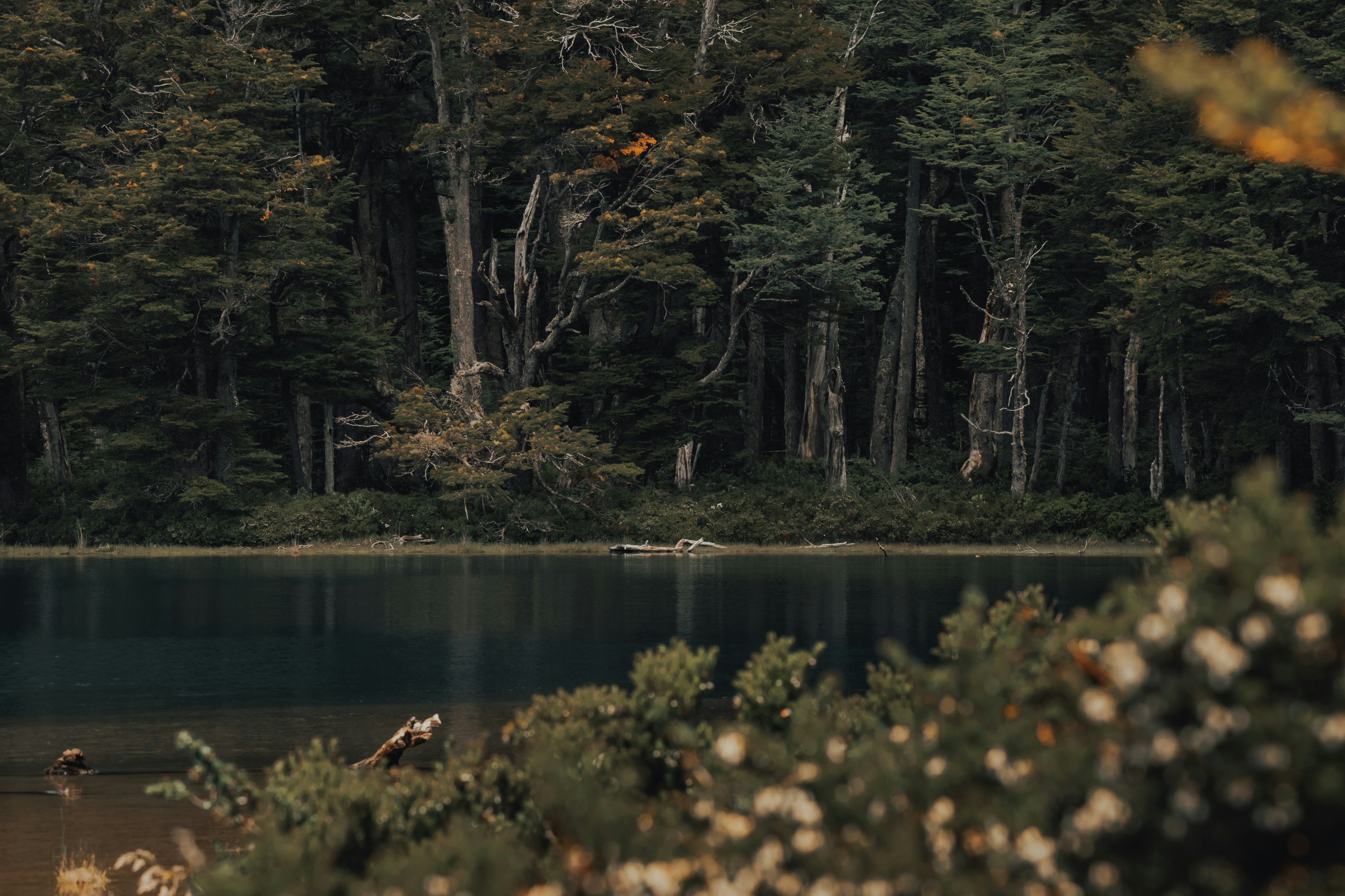 Photo by gasparzaldo